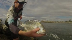 Video: Bream from the breakwall